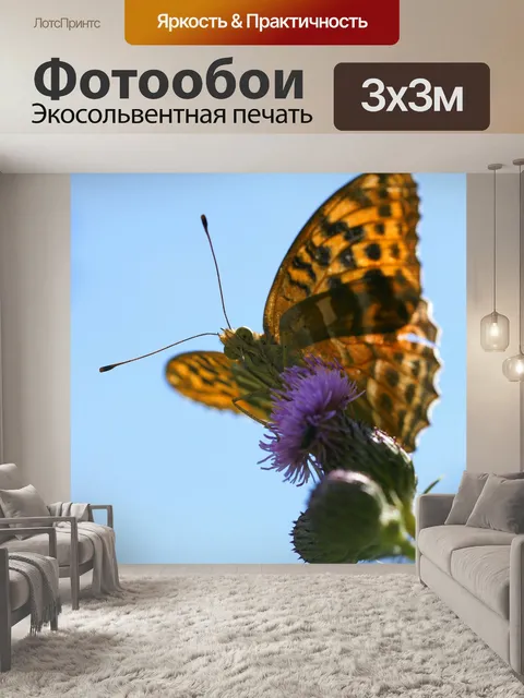 Фотообои Императорское пальто