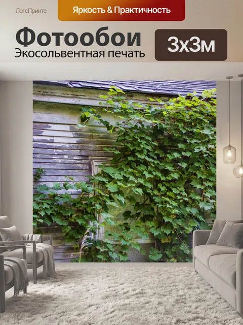 Фотообои заброшенный