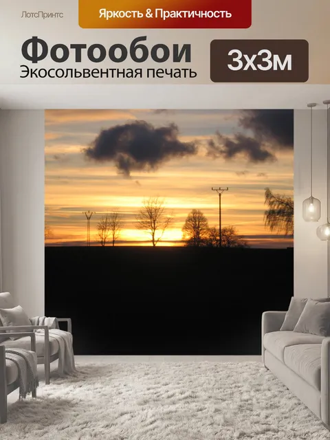 Фотообои Сумерки