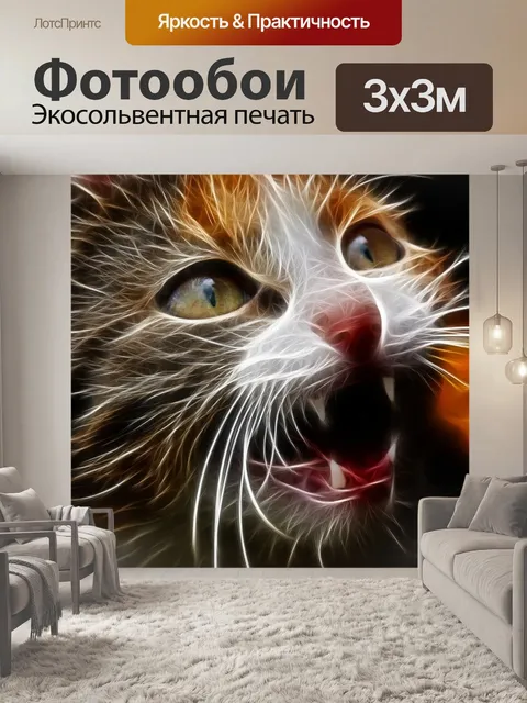 Фотообои Кот