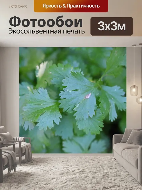 Фотообои итальянская петрушка, растущая в саду