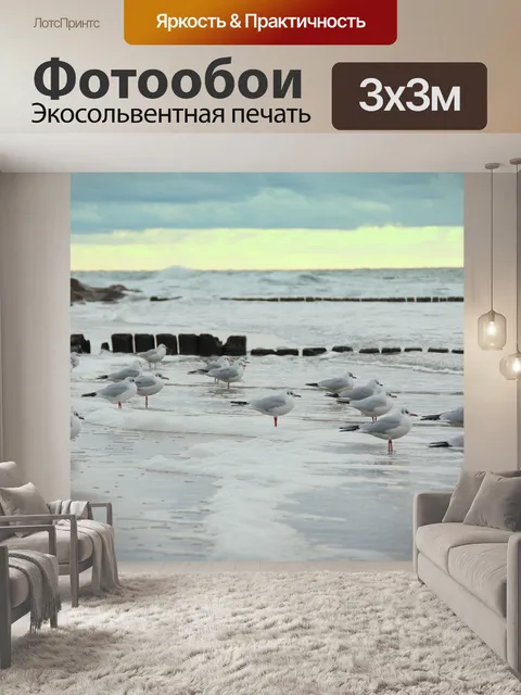 Фотообои Чайки