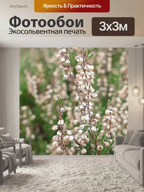 Фотообои Вереск