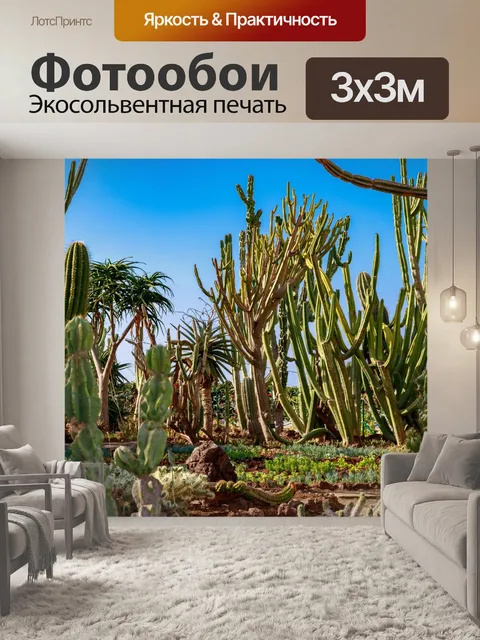 Фотообои Кактус