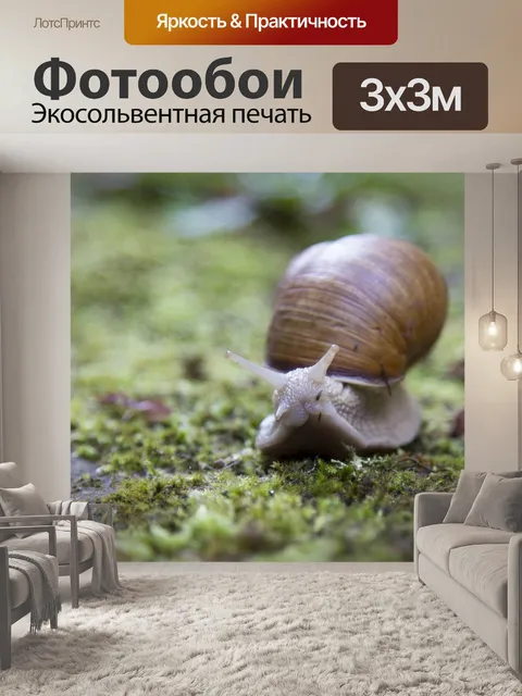 Фотообои Улитка