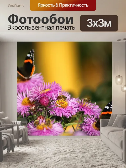 Фотообои Астры