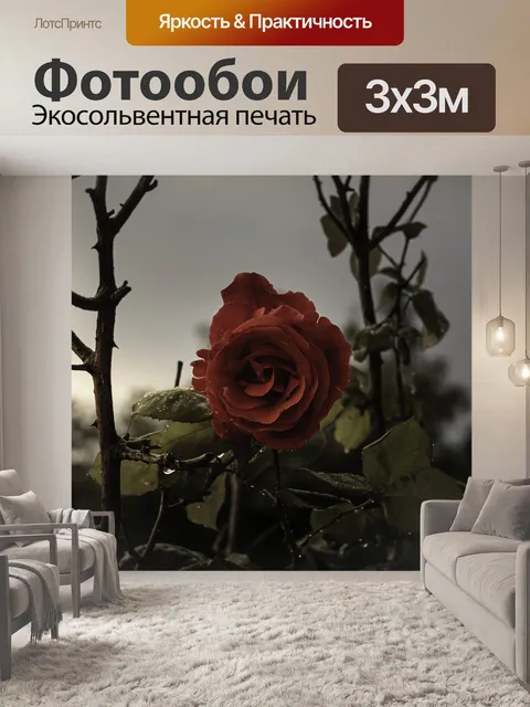 Фотообои Роза