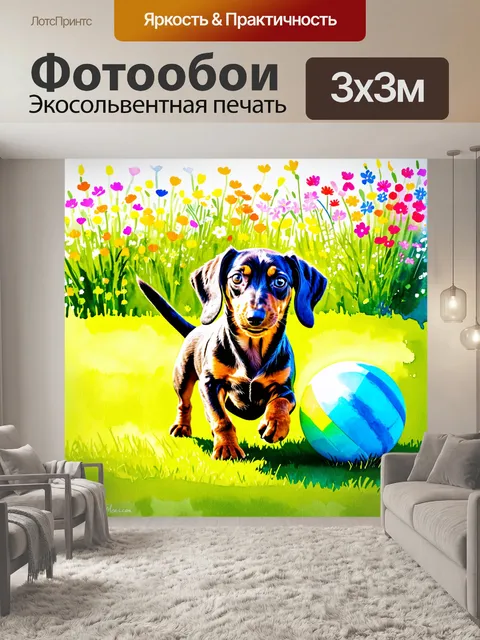 Фотообои щенок таксы-дапла, игриво играющий с ярким мячиком на зеленом газоне