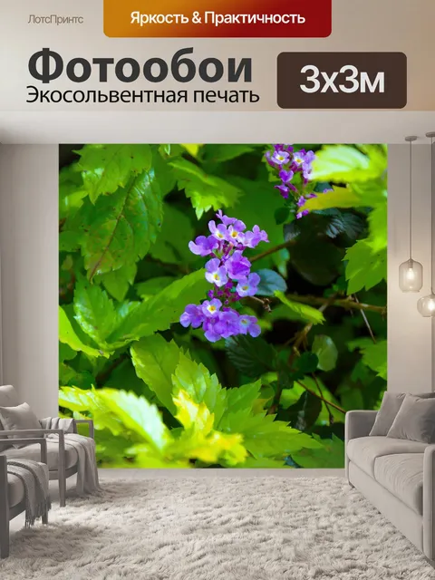 Фотообои Фиолетовый