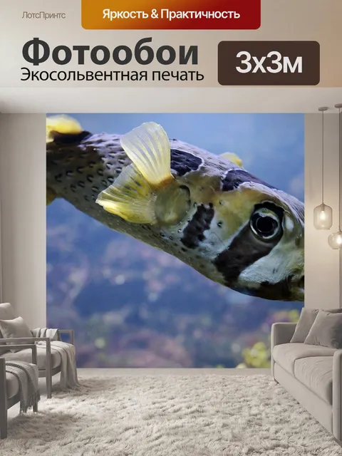 Фотообои Рыба фугу