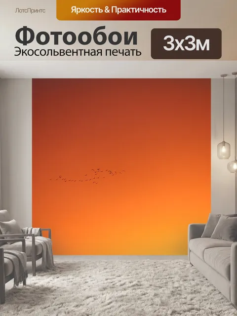 Фотообои Птицы