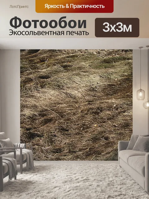 Фотообои сухая трава