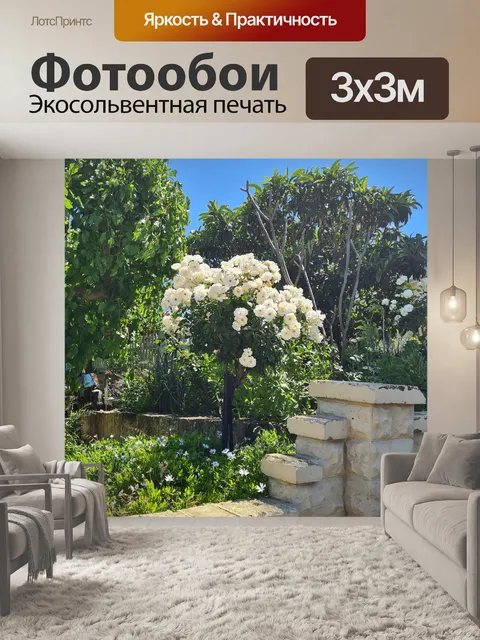 Фотообои Топиарий из белых роз