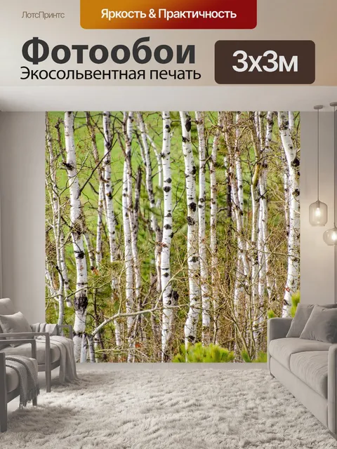 Фотообои Осины