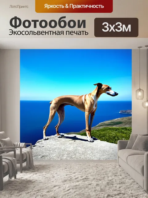 Фотообои борзая, стоящая на краю утеса, с великолепным видом на океан и лазурное небо