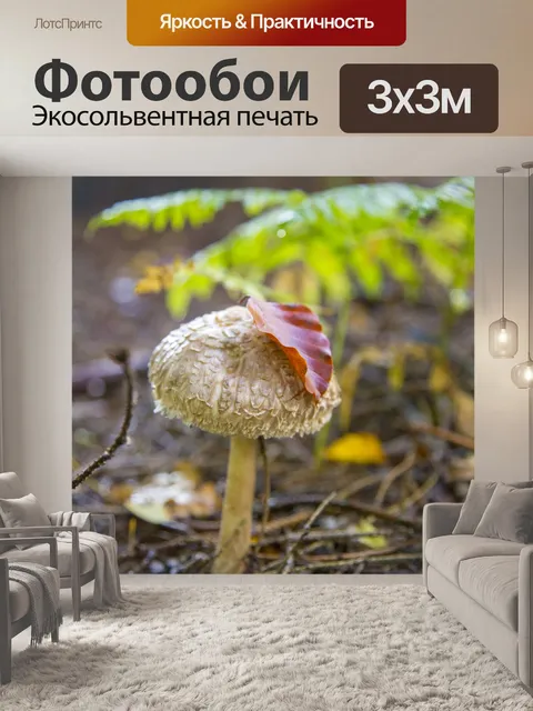 Фотообои Маленькие грибы