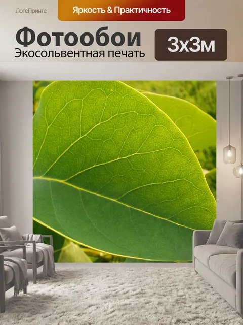 Фотообои Листок