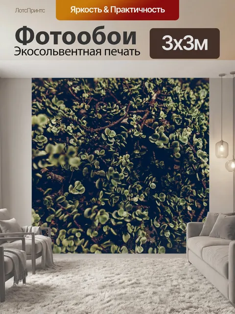 Фотообои Ботанический