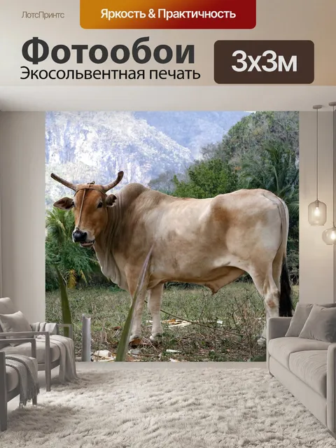 Фотообои Бык
