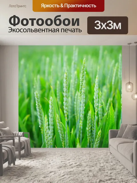 Фотообои Зеленый