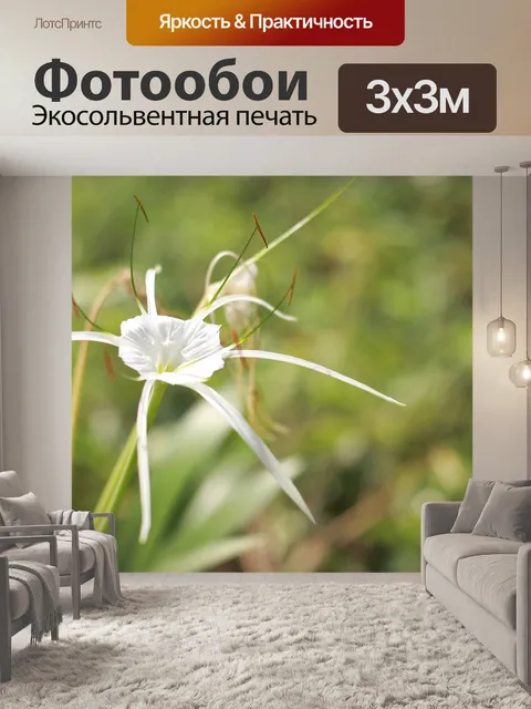 Фотообои Белые цветы
