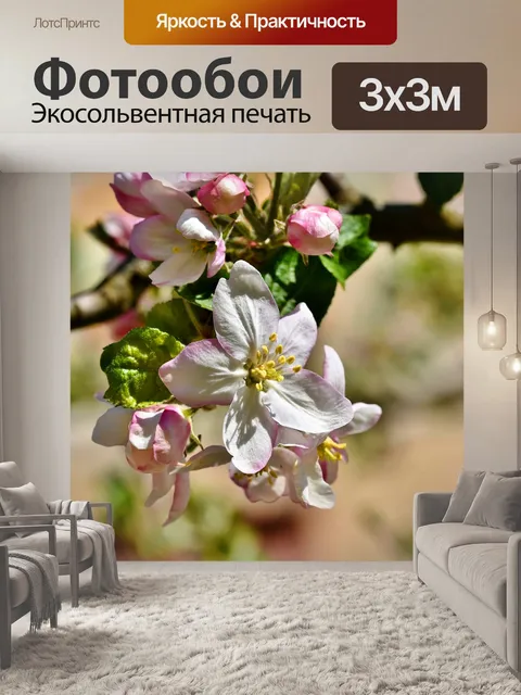 Фотообои Цветение яблони