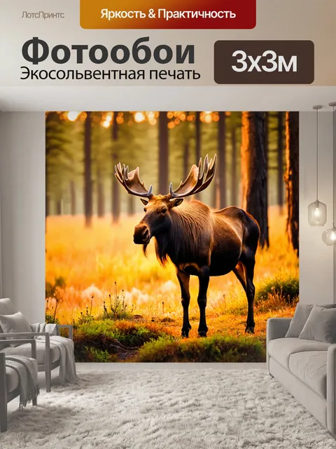 Фотообои животные в стиле романтизм, гривастый лось, стоящий на краю леса, освещенный светом заката