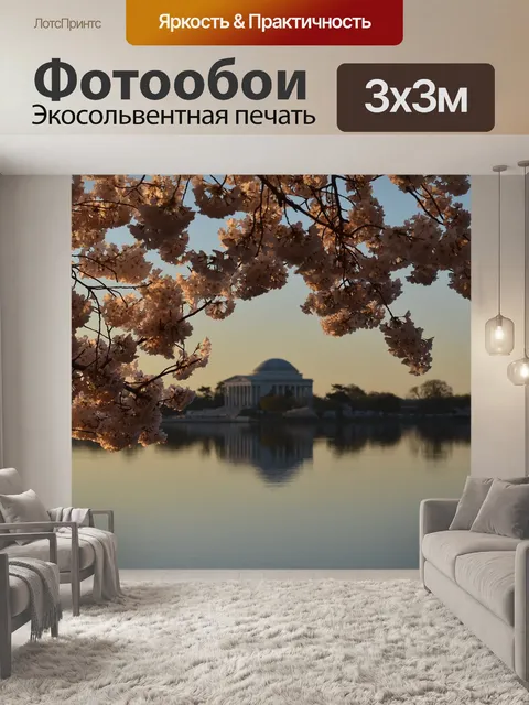 Фотообои Ветви