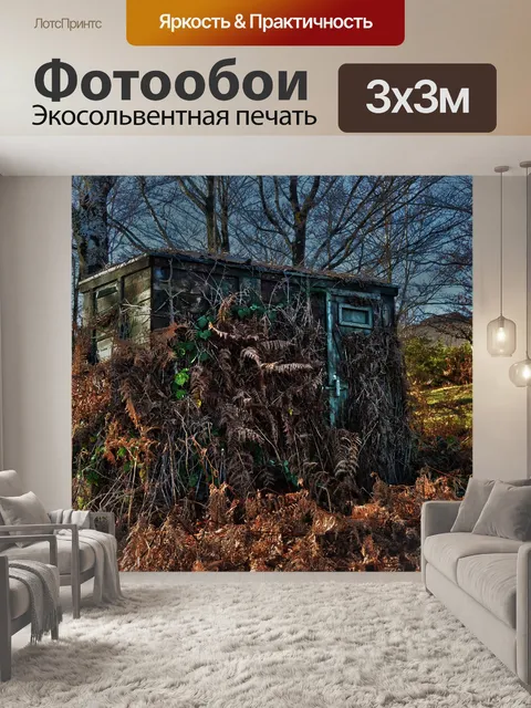 Фотообои Хижина