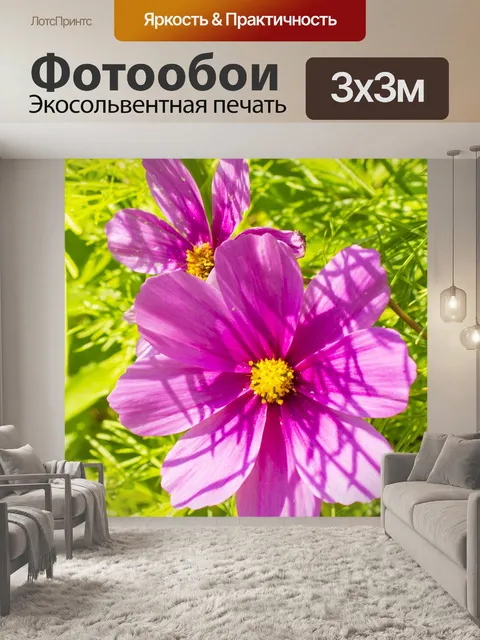 Фотообои Косме́я