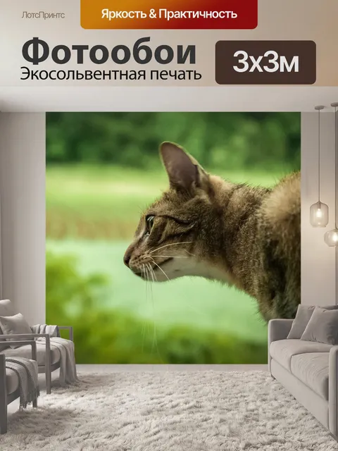 Фотообои Охотник