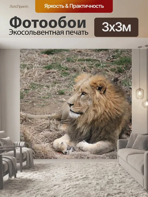 Фотообои Лев