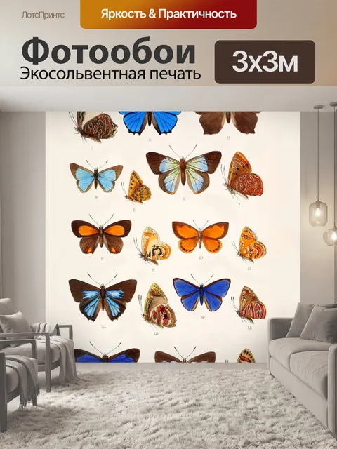 Фотообои Бабочки Винтаж плакат искусство
