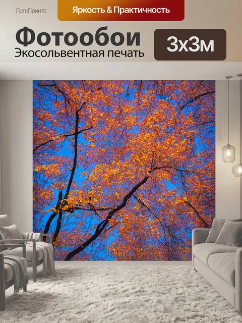 Фотообои с яркими мотивационными цитатами о еде