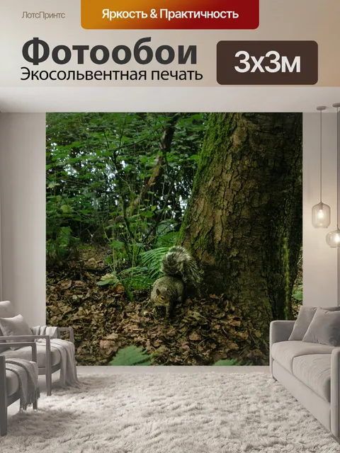 Фотообои Ботанический сад
