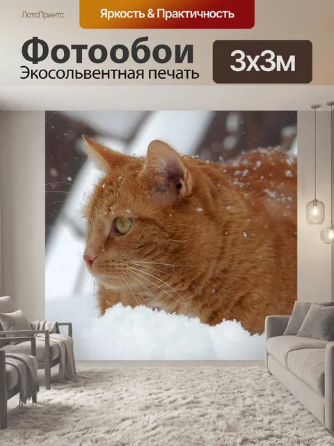 Фотообои Кот