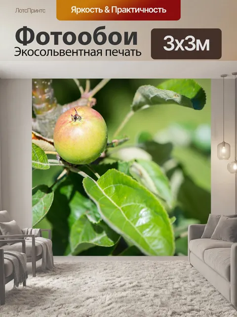 Фотообои Яблоко