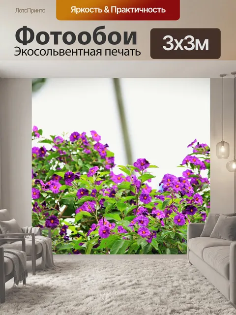 Фотообои картофель куст цветов