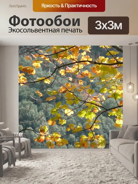 Фотообои Осень