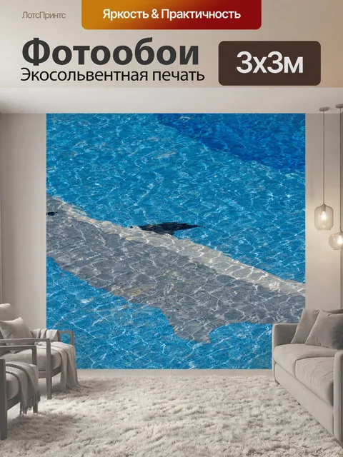 Фотообои Бассейн с дельфинами