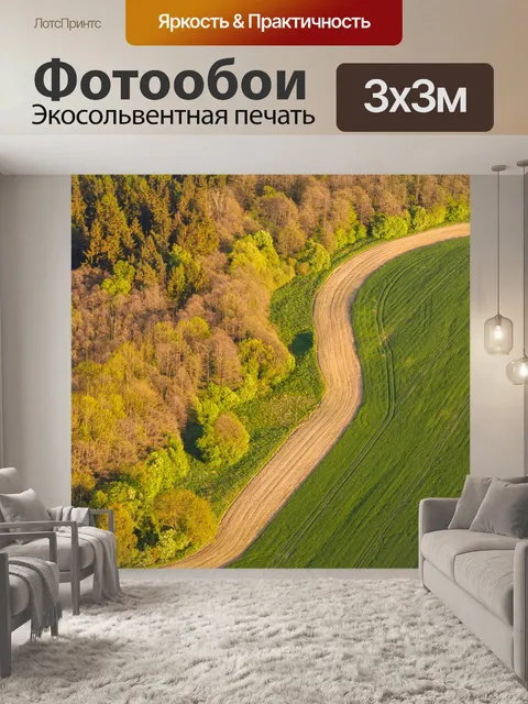 Фотообои Вид деревьев