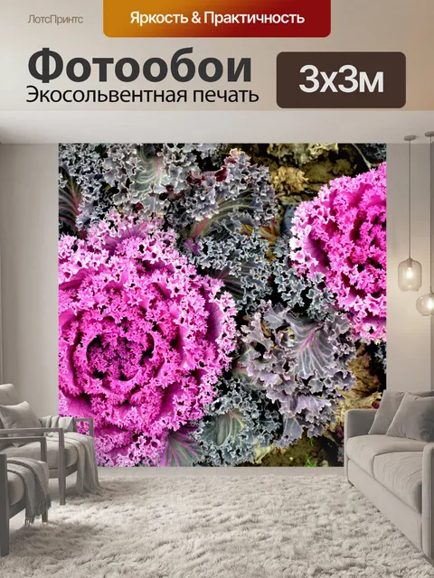 Фотообои Декоративная капусты 2
