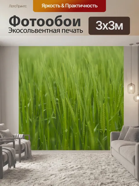 Фотообои Поле зеленого ячменя
