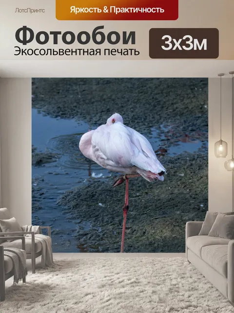 Фотообои розовый фламинго