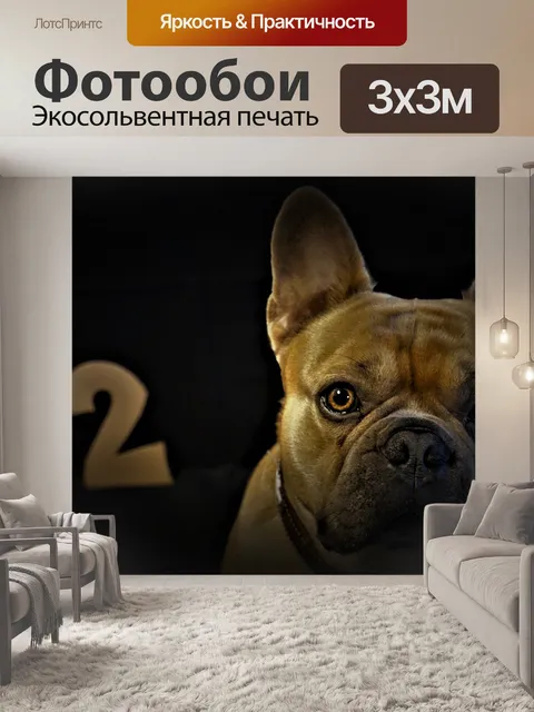 Фотообои Второй день рождения