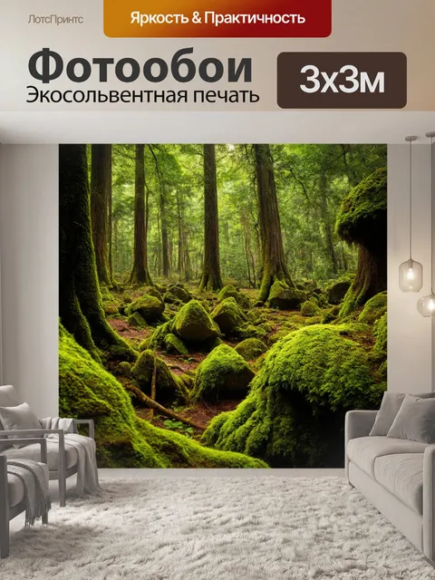 Фотообои старый магический лес с высокими деревьями и мшистыми камнями