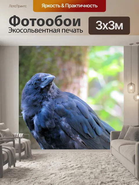 Фотообои ворона 2