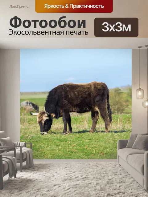 Фотообои Задний говяжья