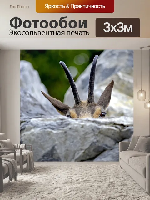 Фотообои Серна