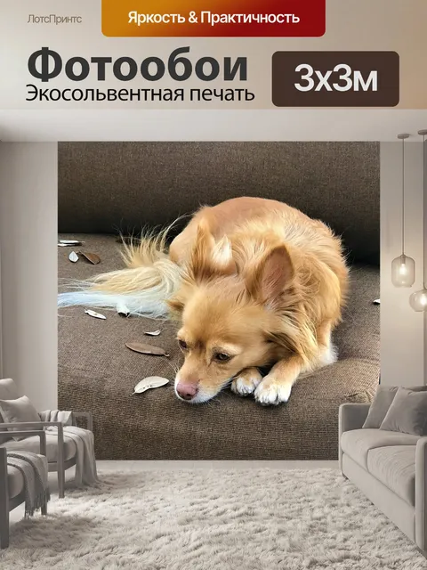 Фотообои Собака